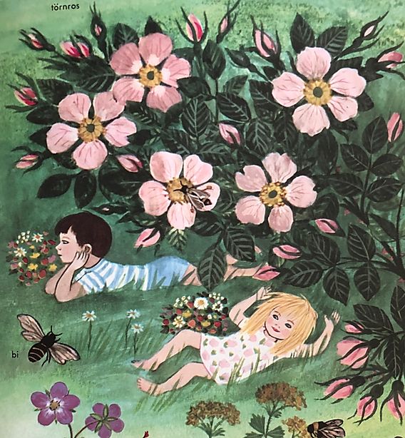 Måns och Mari om sommaren, Kaj Beckman, Sophies Sagohörna,