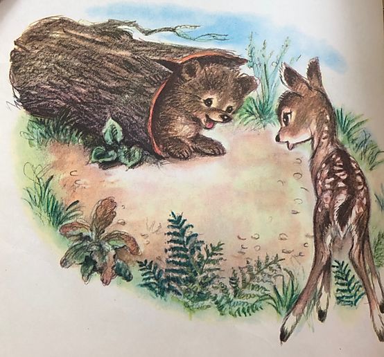 Barnen i skogen, Sophies Sagohörna,