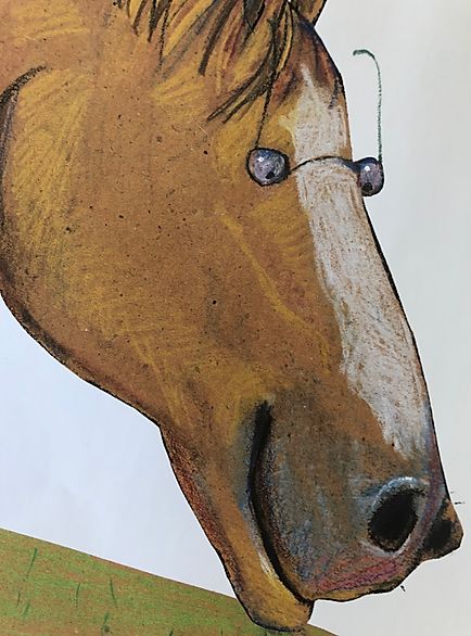 Det var det fräckaste, Sophies Sagohörna, Djursaga, Wolf Erlbruch,