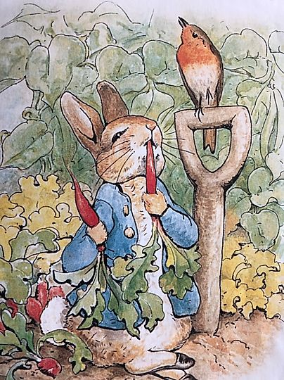 Sophies Sagohörna, Sagan om Pelle Kanin, Beatrix Potter,