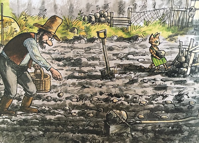 Kackel i grönsakslandet, Sven Nordqvist, Pettson och Findus, Sophies Sagohörna,